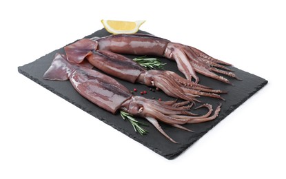 Fresh raw squids with lemon, rosemary and pepper on white background