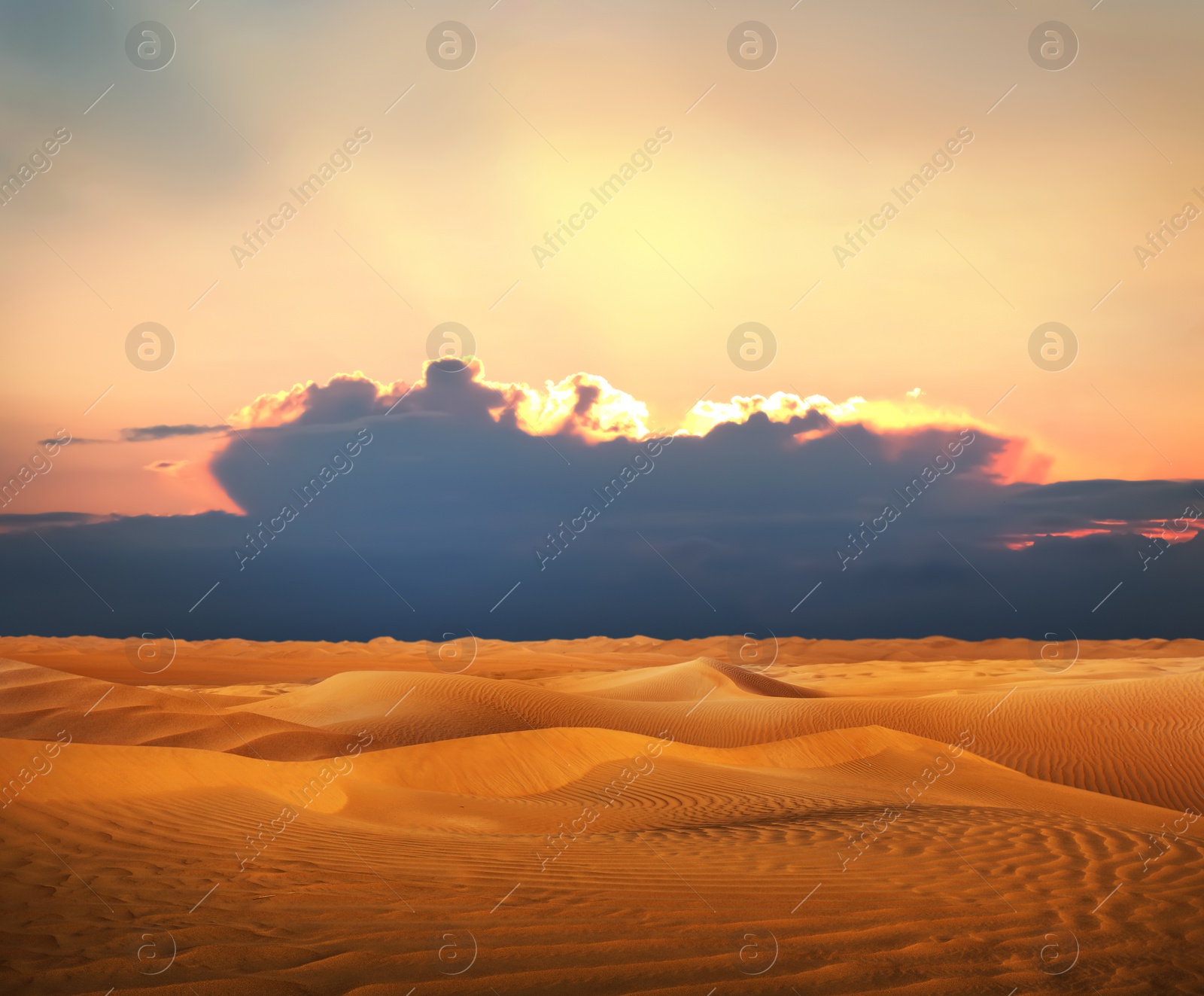 Image of Beautiful view of sandy desert at sunset