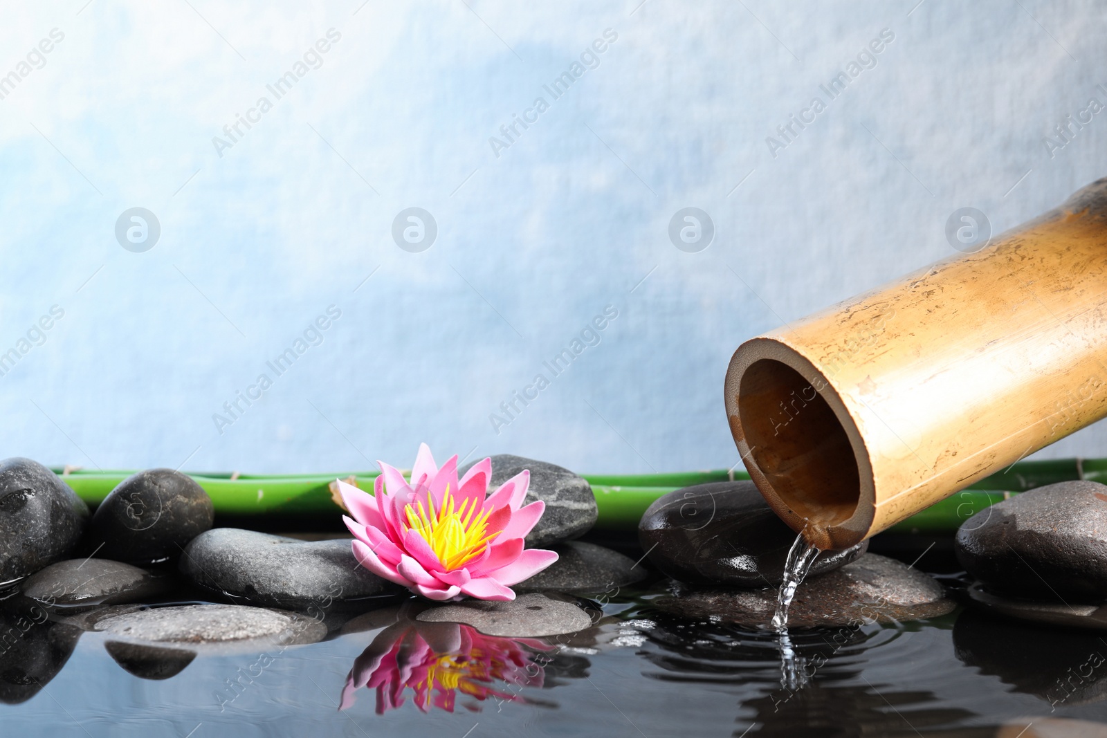 Photo of Beautiful zen garden with lotus flower and bamboo fountain on light blue background