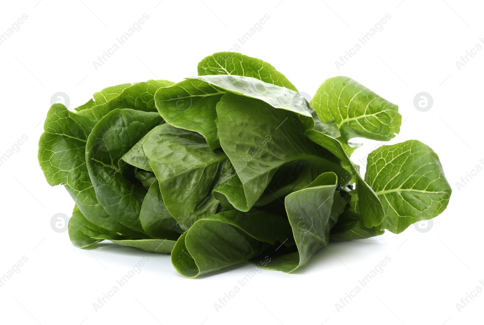 Photo of Fresh green bok choy cabbage isolated on white