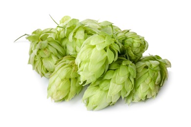 Photo of Fresh ripe green hops on white background