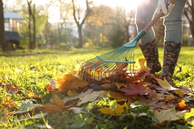 Photo of Woman raking fall leaves in park, closeup. Space for text