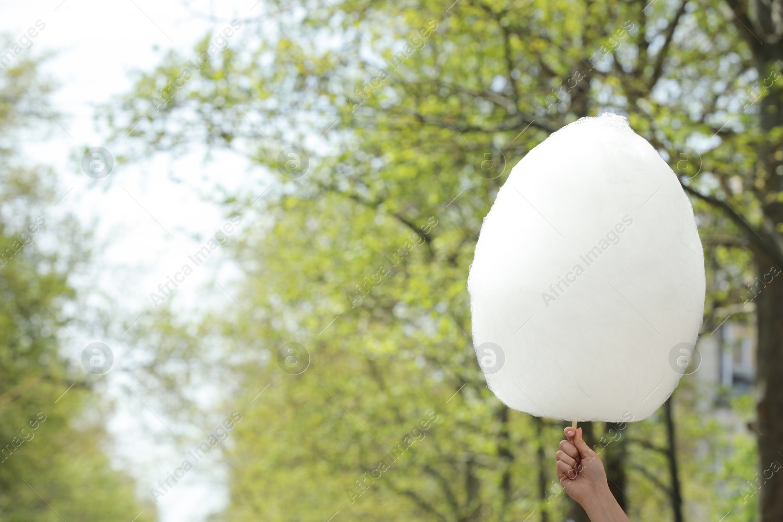 Photo of Woman holding sweet cotton candy outdoors, closeup. Space for text