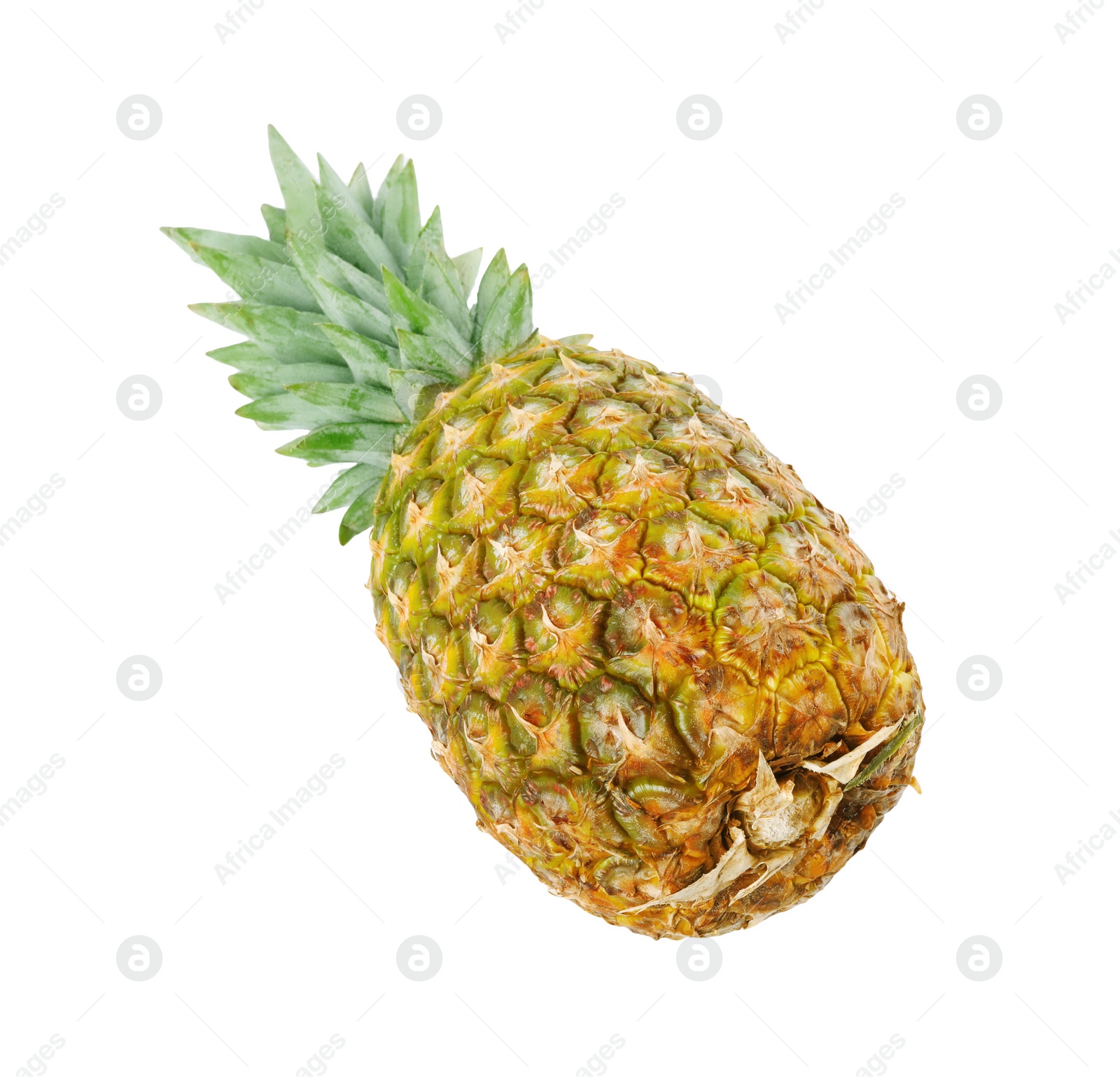 Photo of One whole ripe pineapple isolated on white