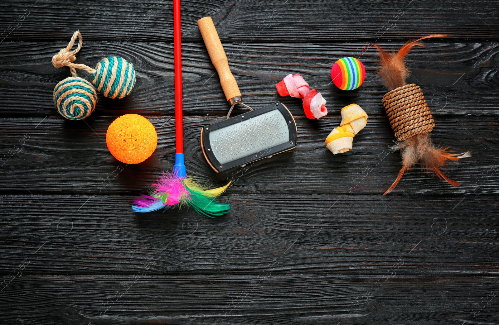 Photo of Cat's accessories on wooden background