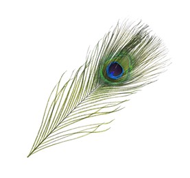 Photo of Beautiful bright peacock feather on white background
