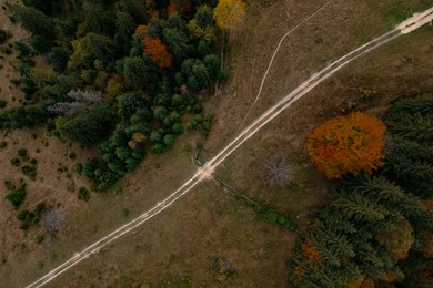 Image of Aerial view of countryside road in beautiful autumn forest