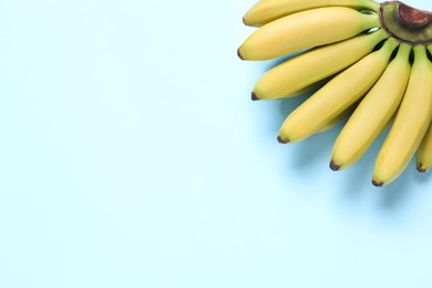 Photo of Bunch of ripe baby bananas on light blue background, top view. Space for text