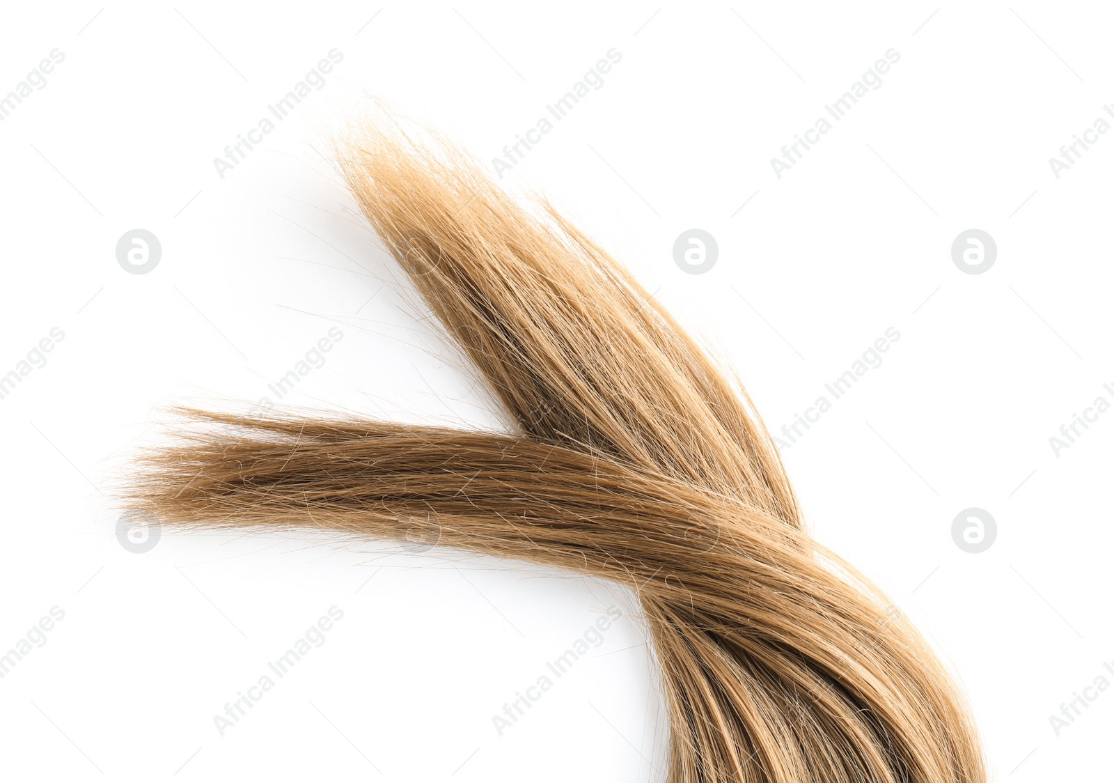 Photo of Beautiful light brown hair on white background, top view. Hairdresser service