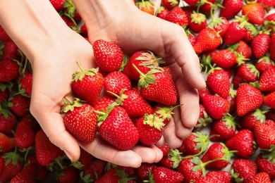 Photo of Young woman holding ripe strawberries, top view