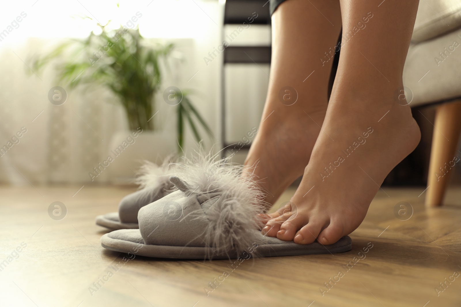 Photo of Woman with fluffy slippers at home, closeup