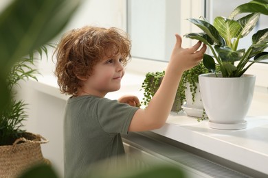 Photo of Cute little boy taking carebeautiful green plant at home. House decor