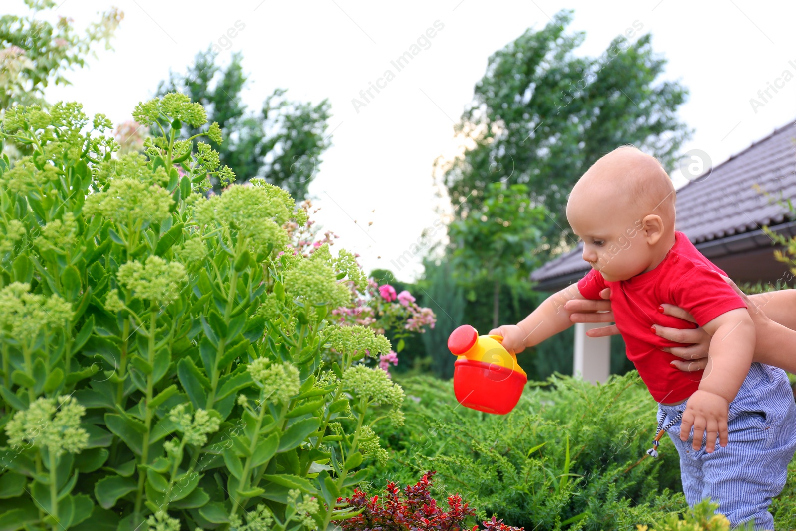 Photo of Mother holding little child with toy watering can near plant outdoors. Home gardening