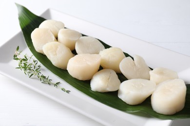 Photo of Fresh raw scallops and thyme on white wooden table, closeup