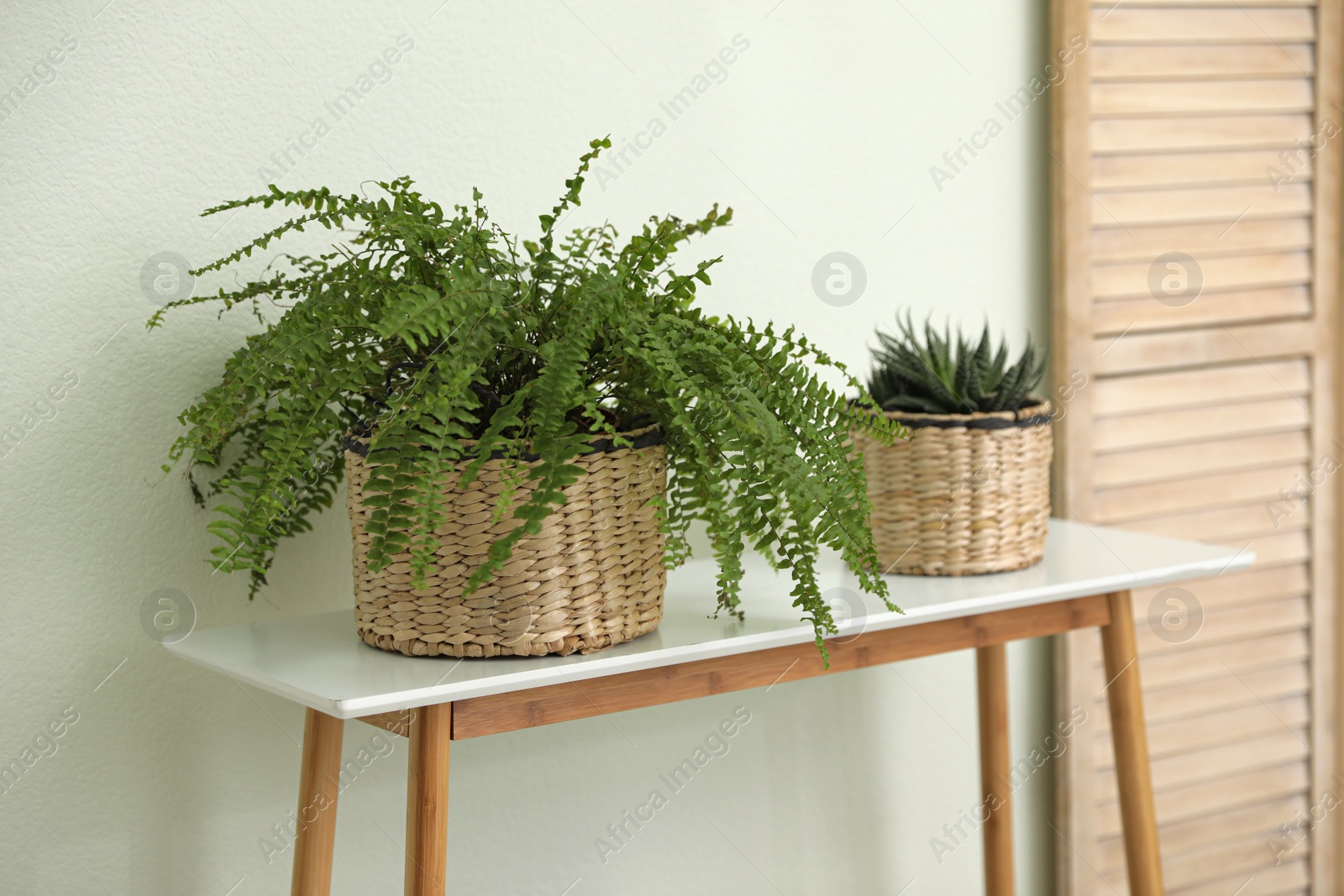 Photo of Houseplants in wicker pots indoors. Interior design