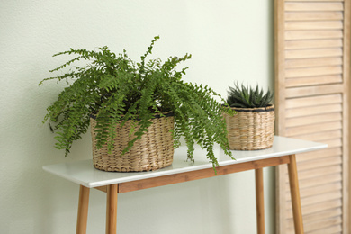 Houseplants in wicker pots indoors. Interior design