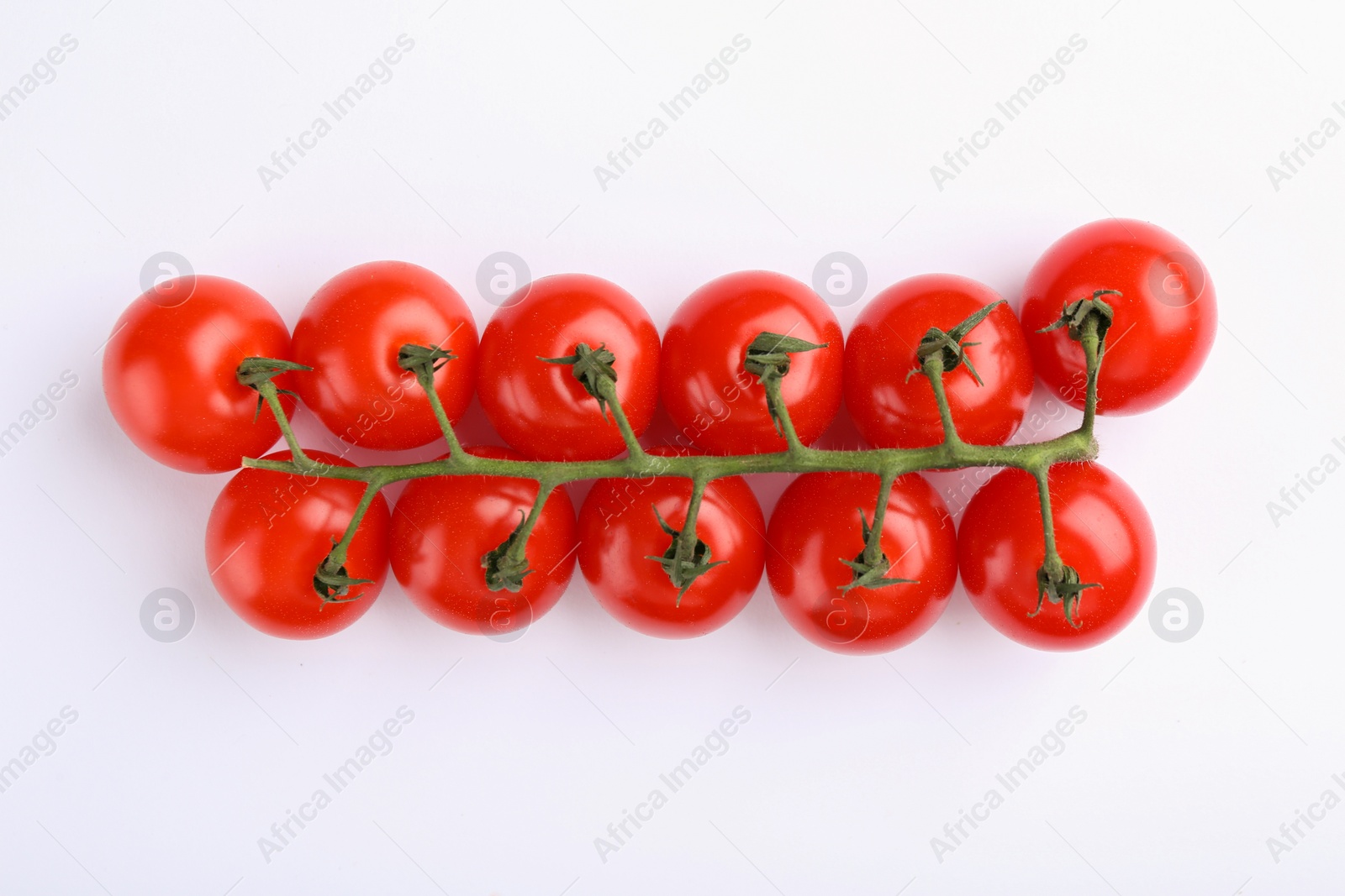 Photo of Vine of red ripe tomatoes on white background, top view