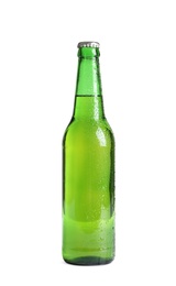 Photo of Bottle of tasty cold beer on white background