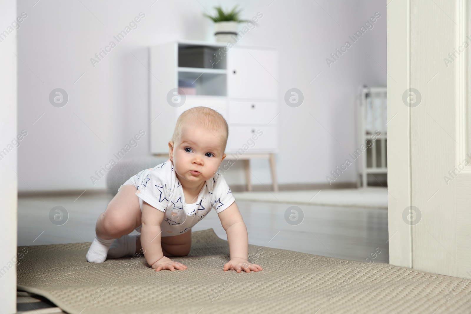 Photo of Cute little baby crawling on carpet indoors