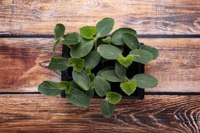 Photo of Seedlings growing in plastic container with soil on wooden background, top view. Gardening season
