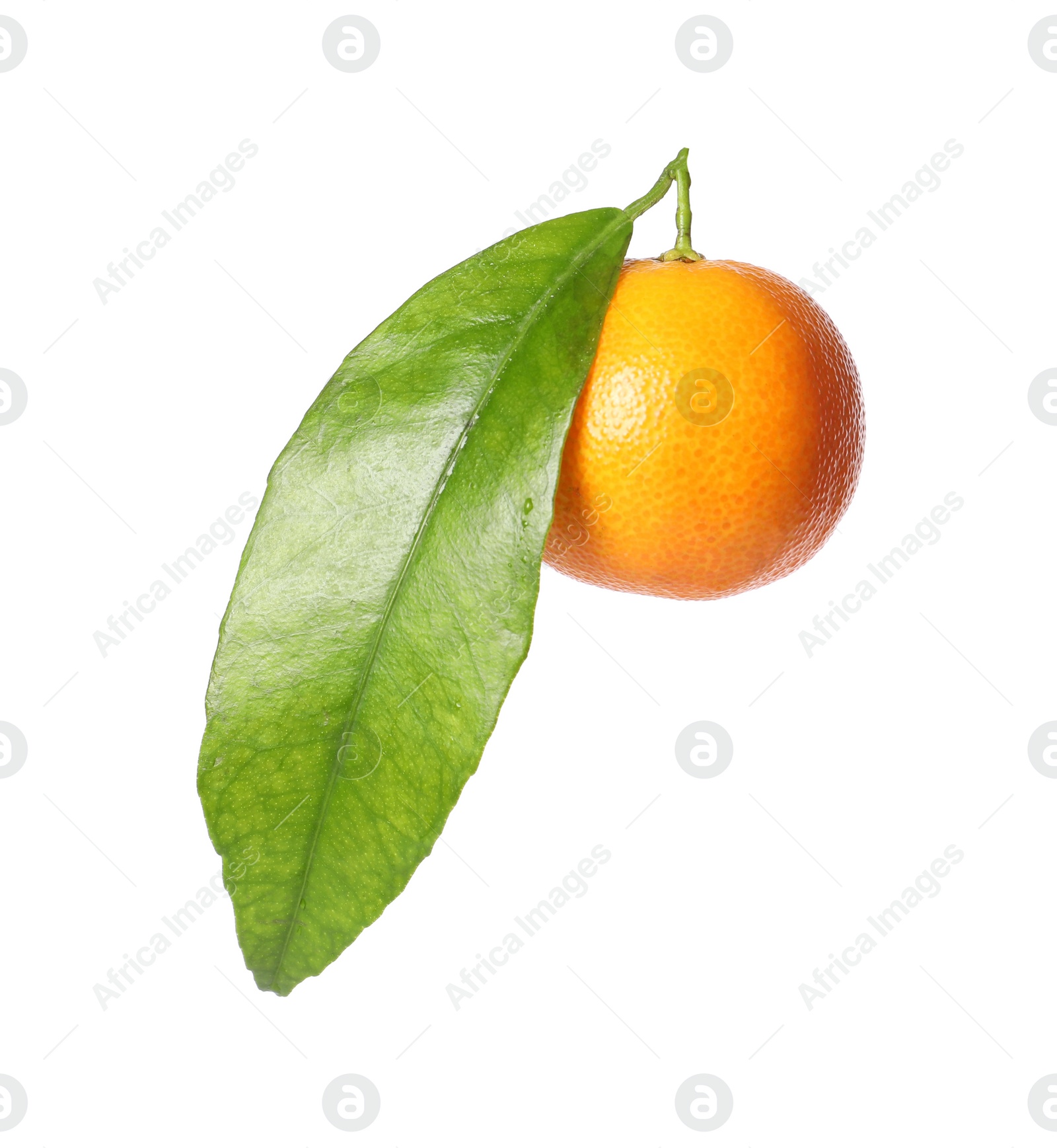 Photo of One fresh tangerine with green leaf isolated on white