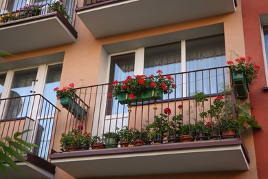 Photo of Balcony decorated with beautiful blooming potted plants, low angle view