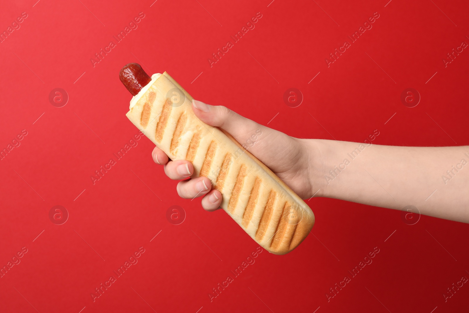 Photo of Woman holding delicious french hot dog on red background, closeup