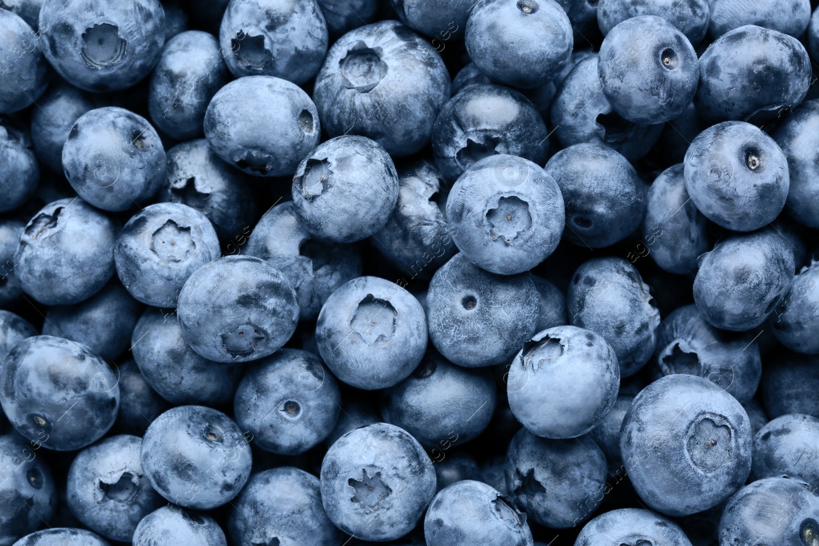 Photo of Tasty fresh ripe blueberries as background, top view