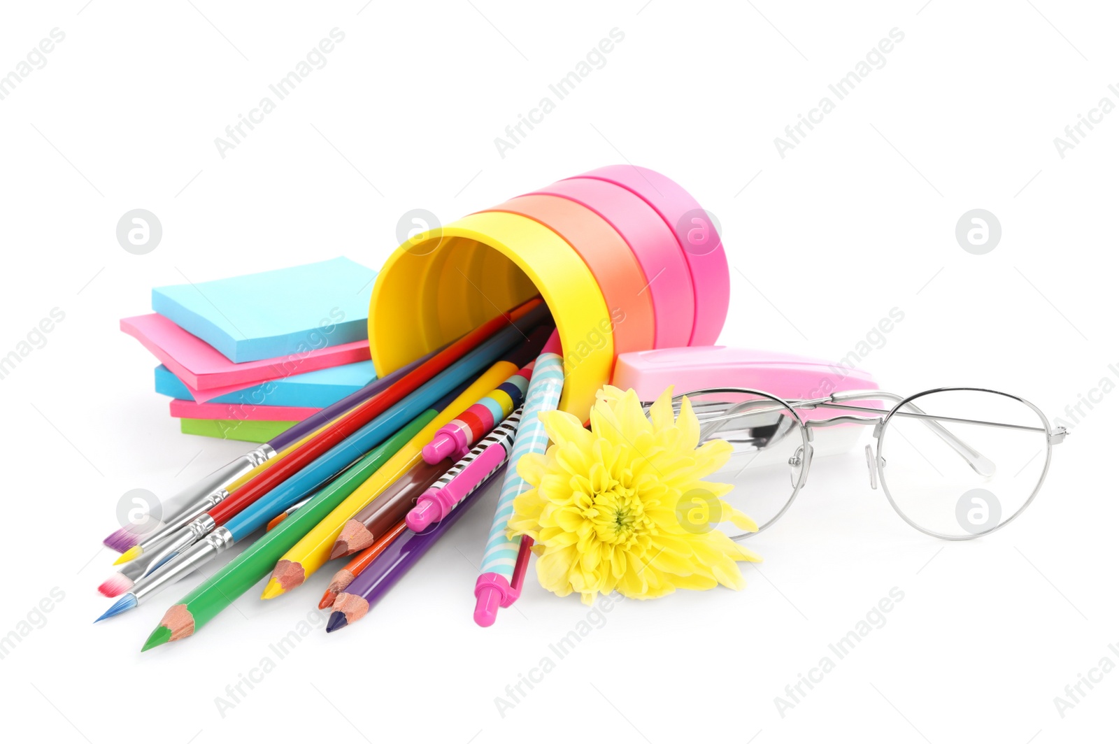 Photo of Beautiful flower and stationery on white background. Teacher's Day