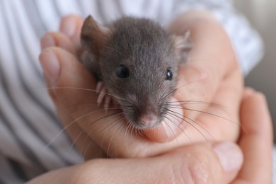 Photo of Woman holding cute small rat, closeup view