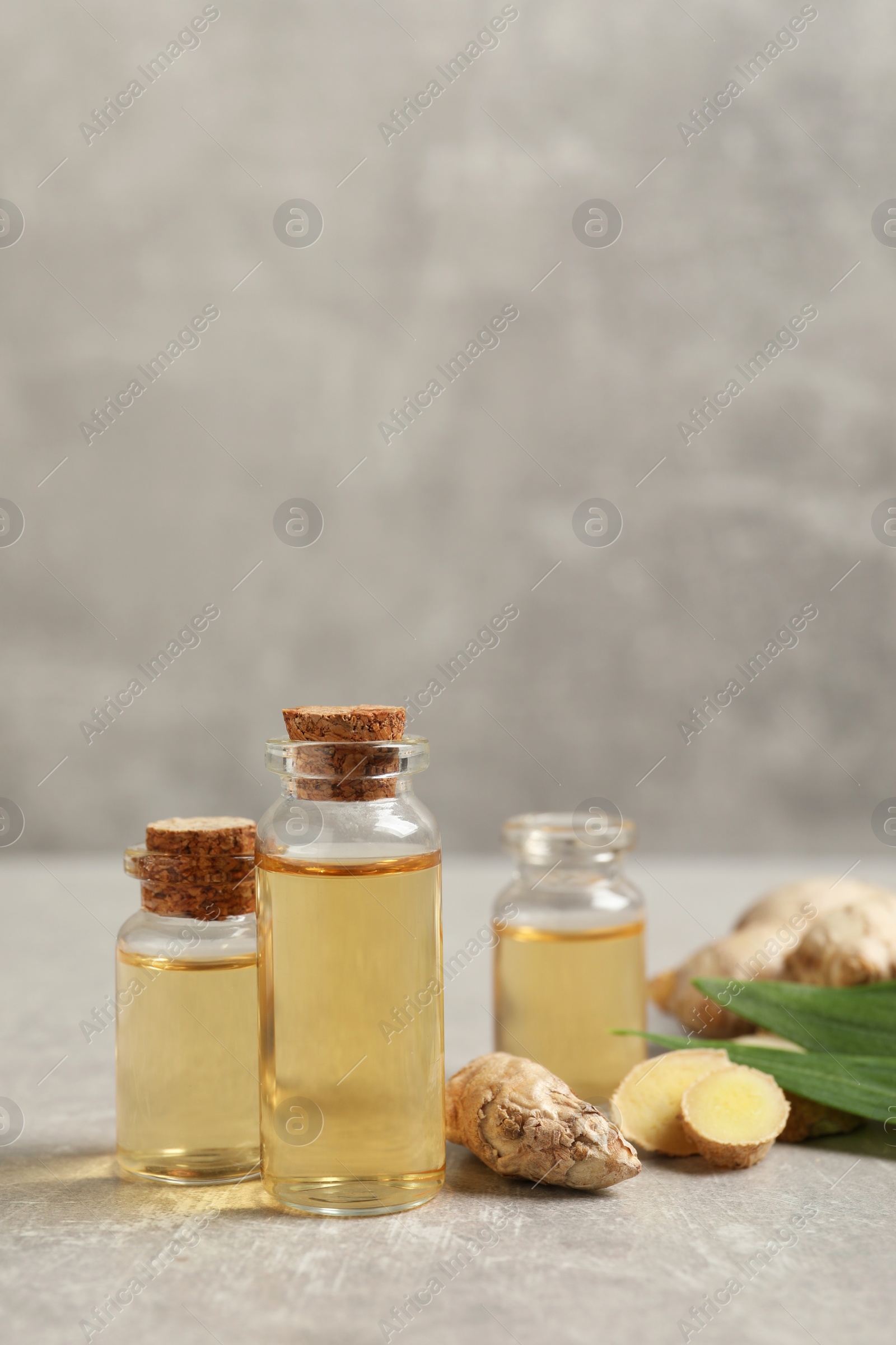 Photo of Ginger essential oil in bottles on light grey marble table