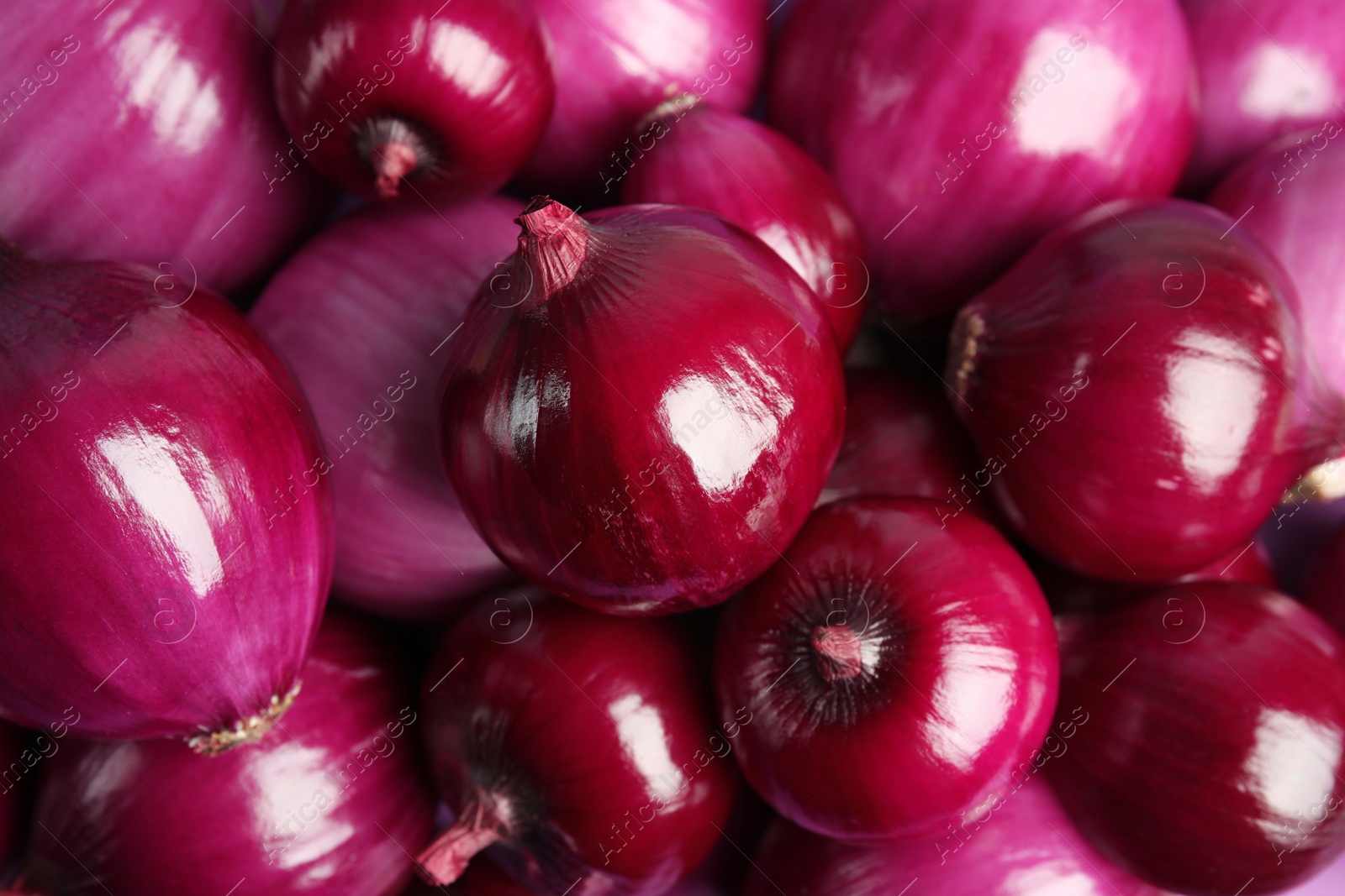 Photo of Pile of fresh red onions as background, closeup