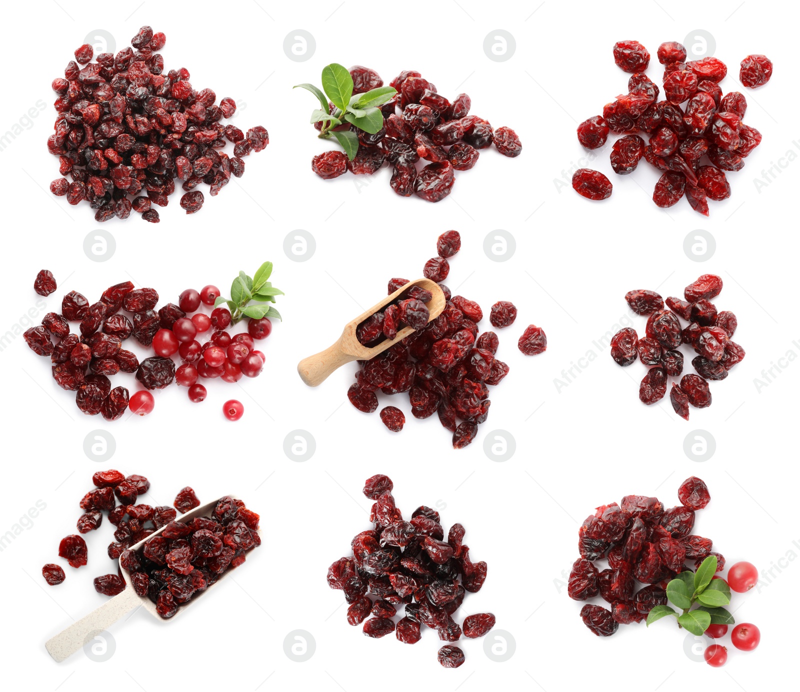 Image of Collage with dried cranberries on white background, top view