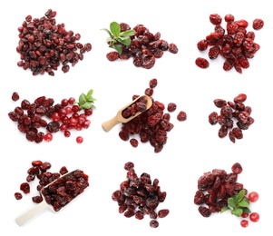 Collage with dried cranberries on white background, top view