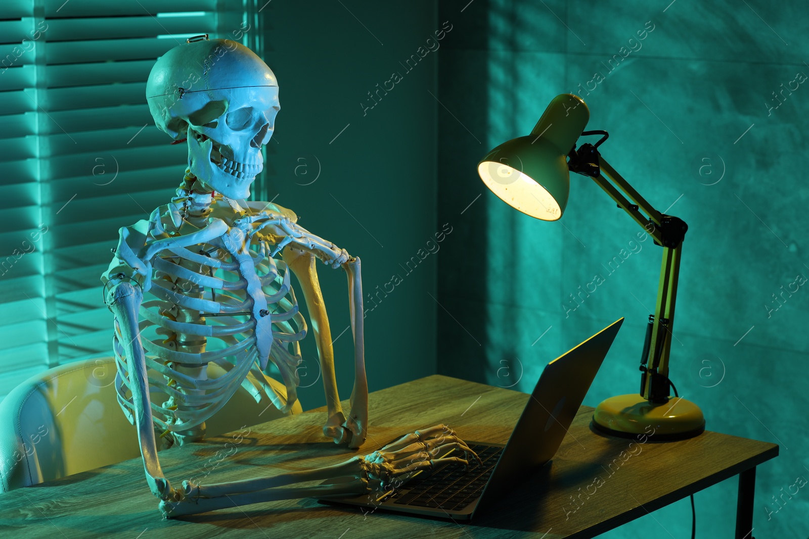 Photo of Waiting concept. Human skeleton sitting at wooden table with laptop indoors