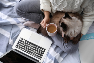 Woman with her cute Balinese cat on bed at home, above view. Fluffy pet