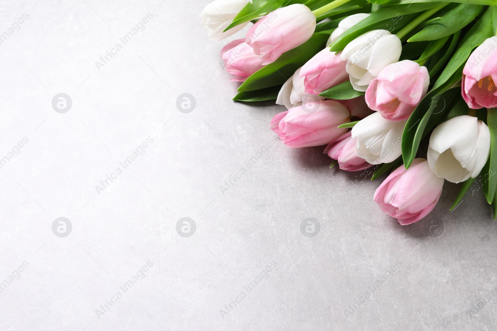 Photo of Beautiful pink spring tulips on light background, above view. Space for text