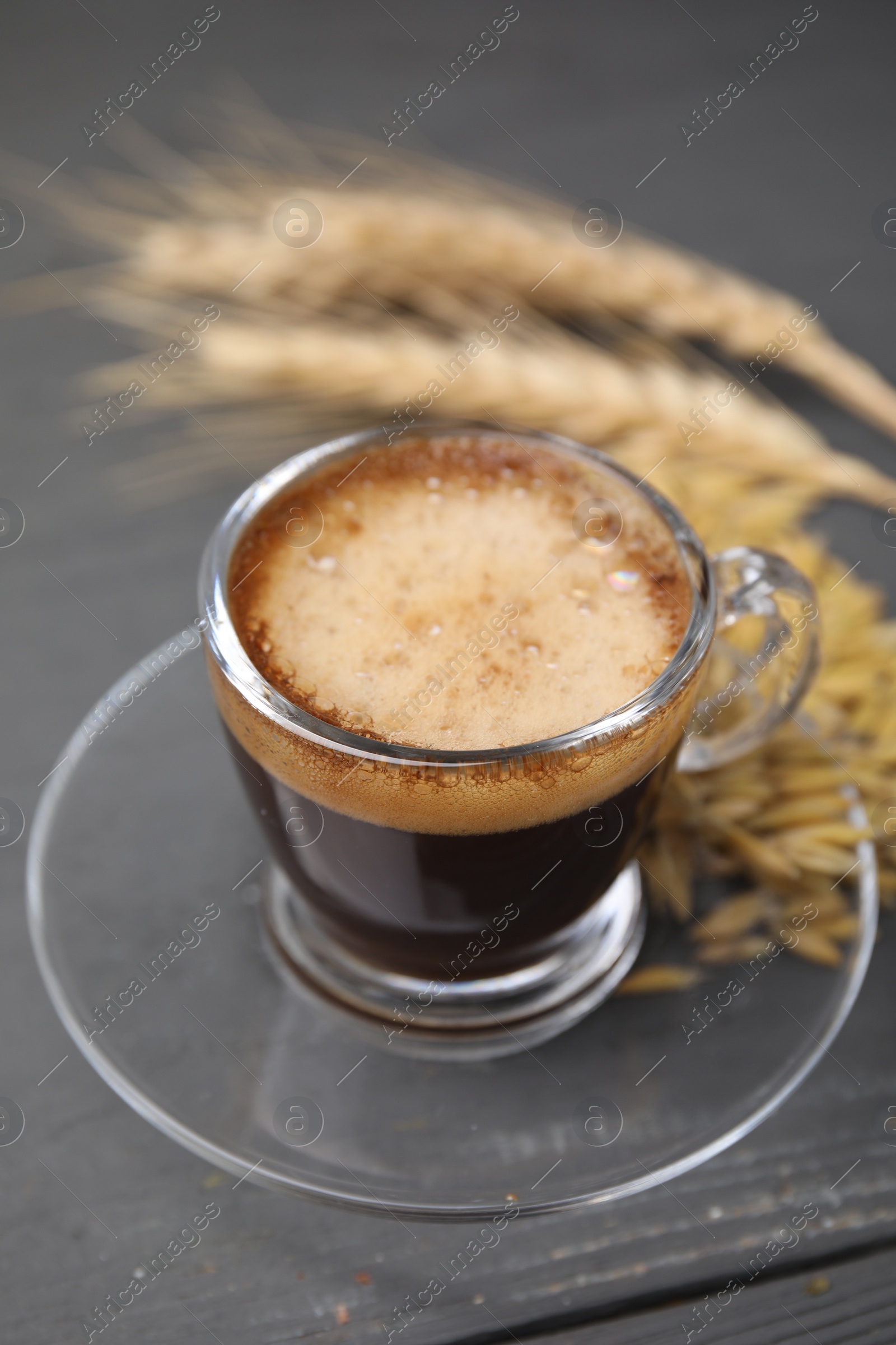 Photo of Cup of barley coffee, grains and spikes on gray table, closeup