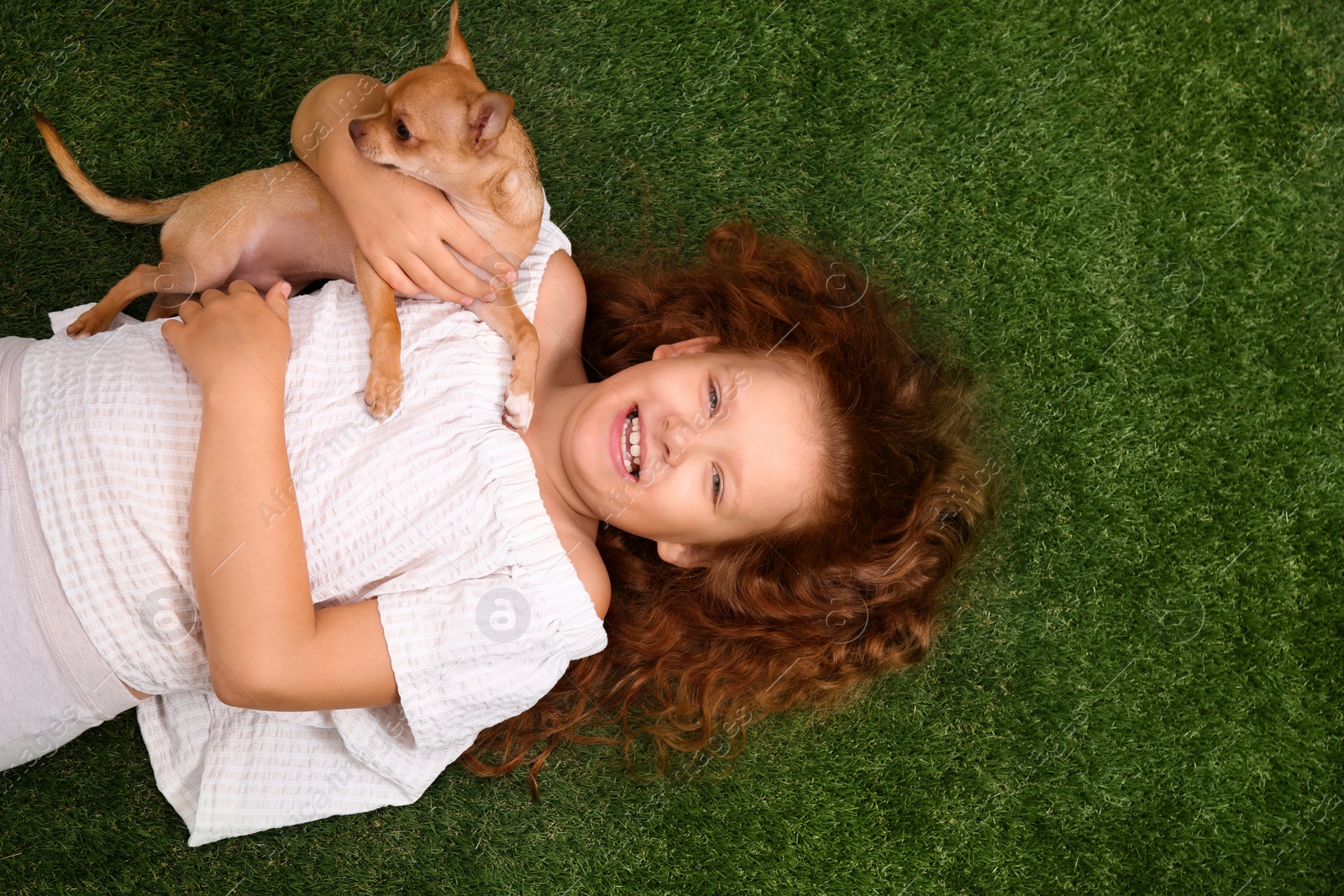 Photo of Cute little child with her Chihuahua dog on green grass, top view. Adorable pet