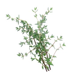 Photo of Bunch of fresh thyme isolated on white