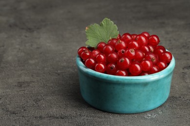 Ripe red currants and leaf in bowl on dark textured table, closeup. Space for text