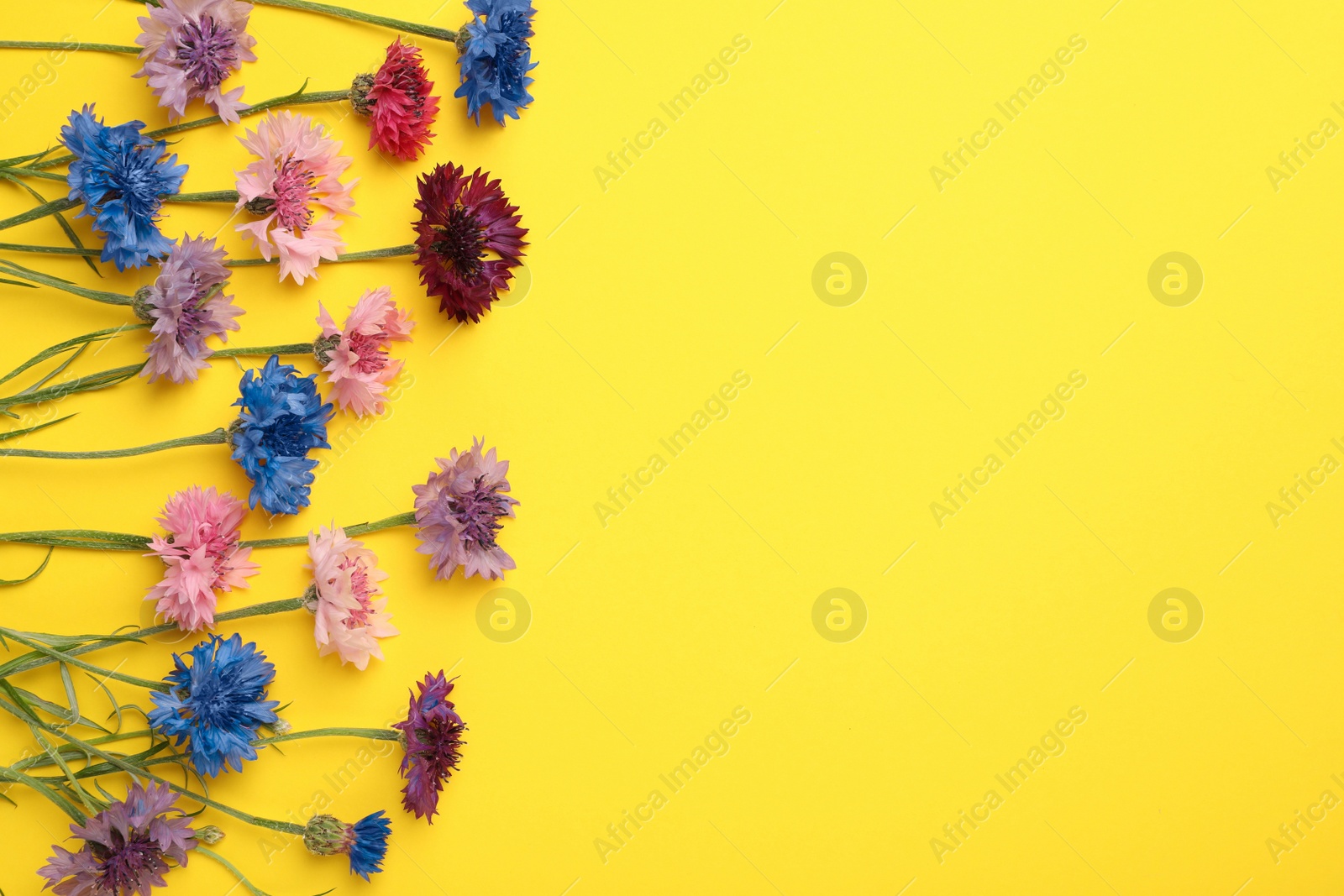 Photo of Beautiful cornflowers on yellow background, flat lay. Space for text