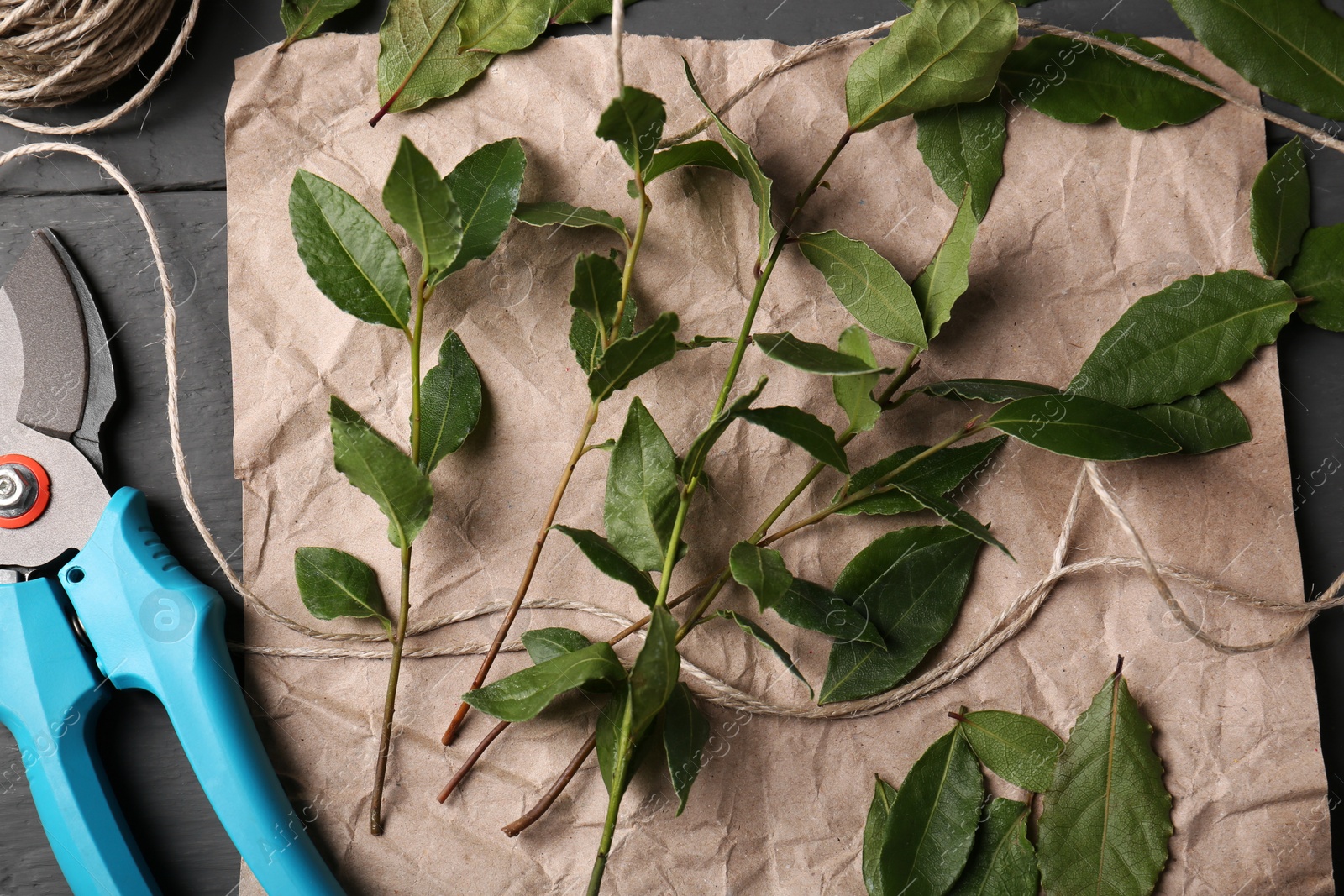 Photo of Fresh green bay leaves, secateurs and twine on grey wooden table, flat lay