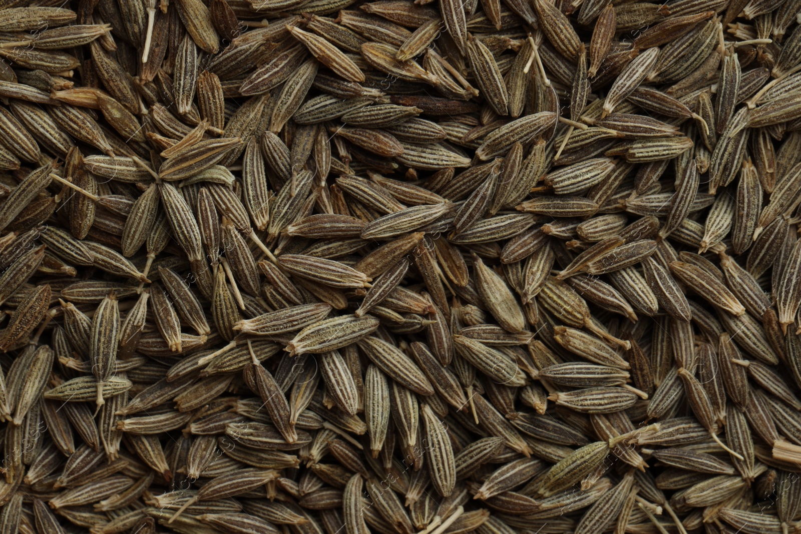 Photo of Aromatic caraway seeds as background, top view