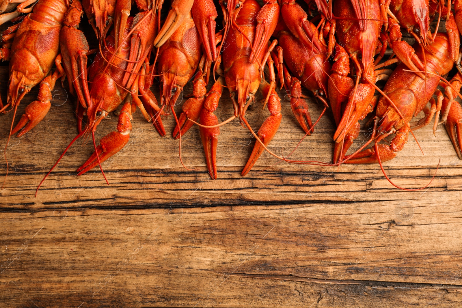 Photo of Delicious boiled crayfishes on wooden table, flat lay. Space for text