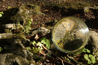 Photo of Ground with green moss outdoors, overturned reflection. Crystal ball on stone in forest