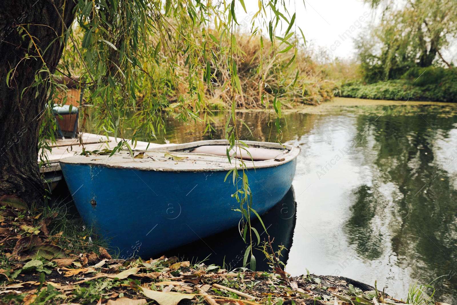 Photo of Light blue wooden boat on lake near pier