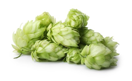 Fresh ripe green hops on white background