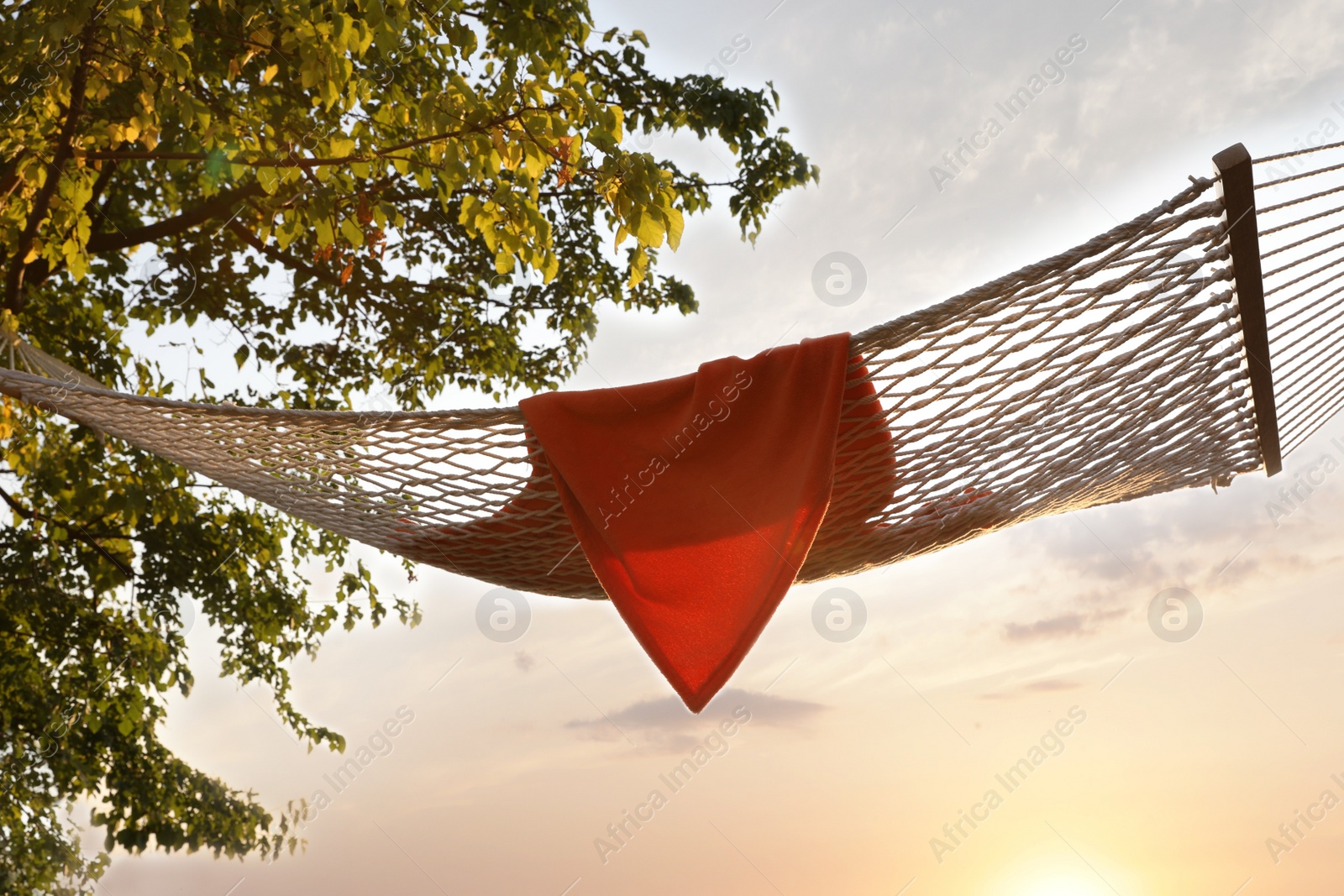 Photo of Hammock with blanket hanging outdoors. Time to relax