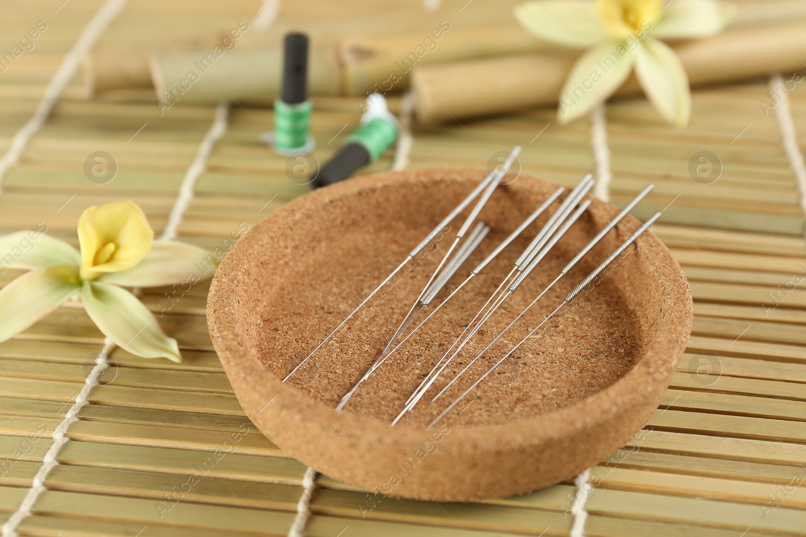 Photo of Cork plate with acupuncture needles on bamboo mat